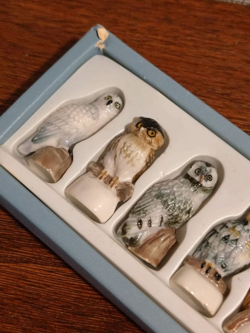 フェーブ　フクロウ　８こセット