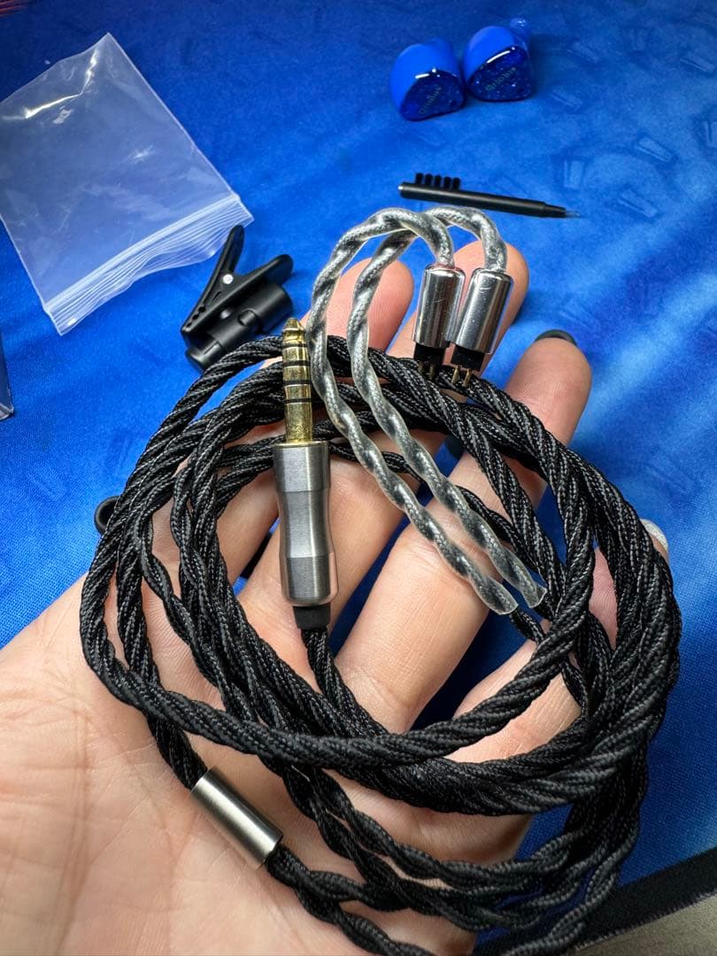 Oriolus Szalayi 美品