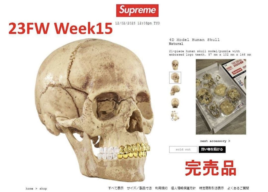 未開封 Supreme 4D Model Human Skull Natural