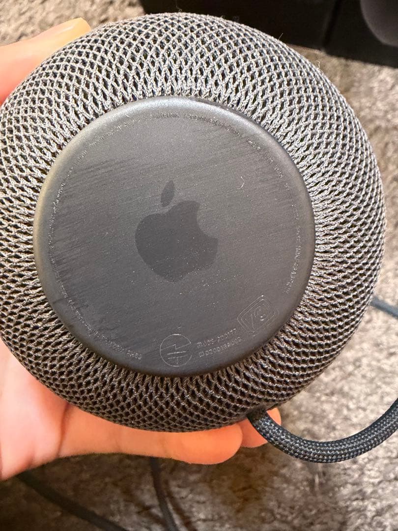 Apple Pod mini スペースグレー 2台セット