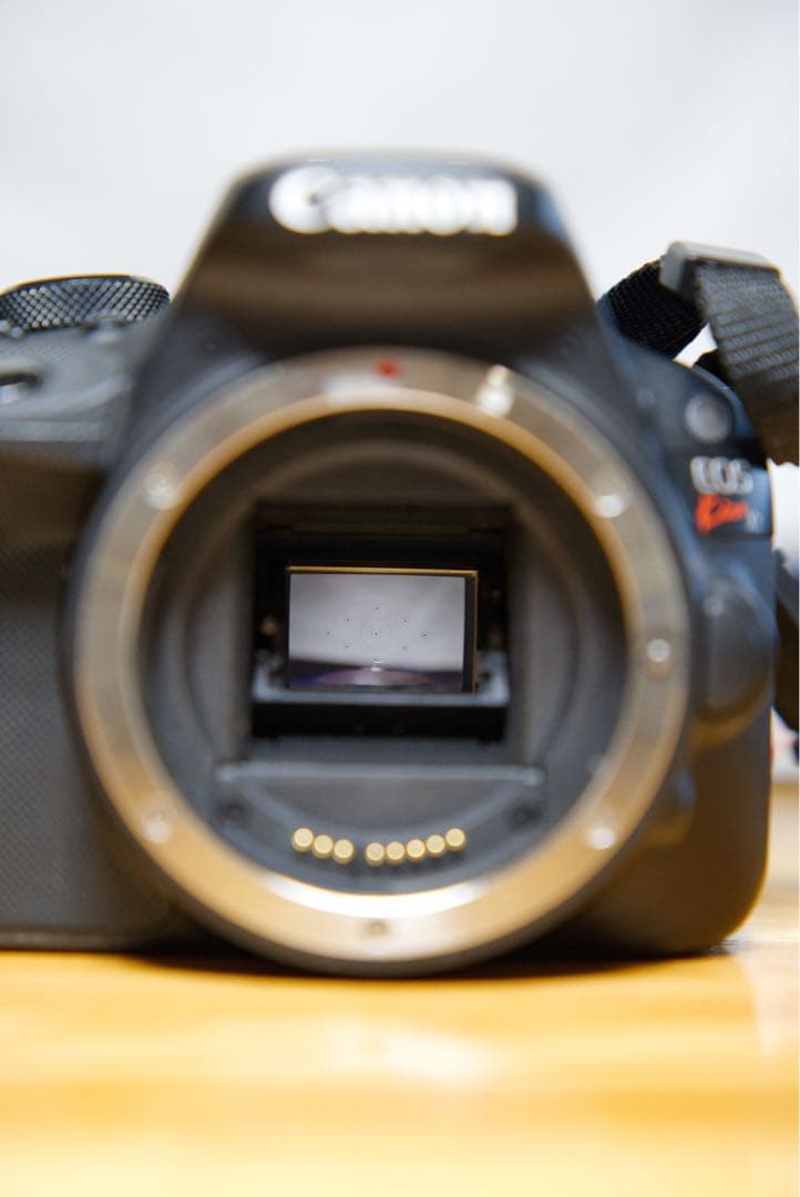 Canon EOS kissx7 & SIGMA 17-50mm F2.8など