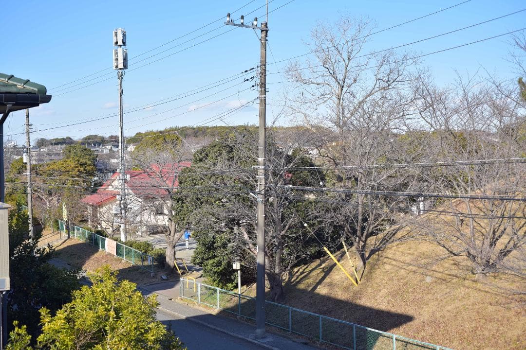 レンズ(単焦点) Nikon AF Micro-NIKKOR 55mm F2.8 #7908