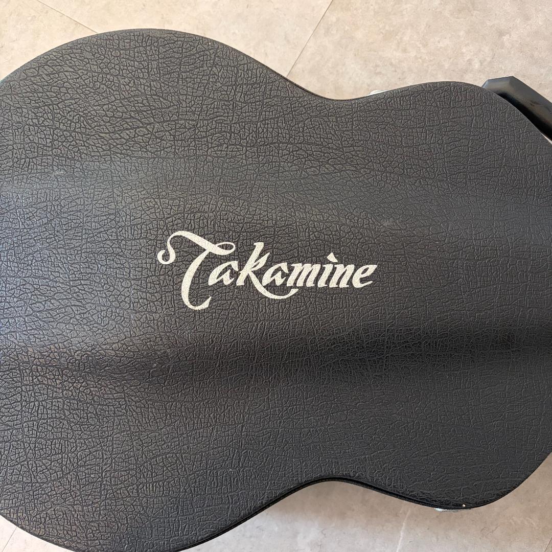 タカミネ　ガッドエレアコギター　PT-115N ST