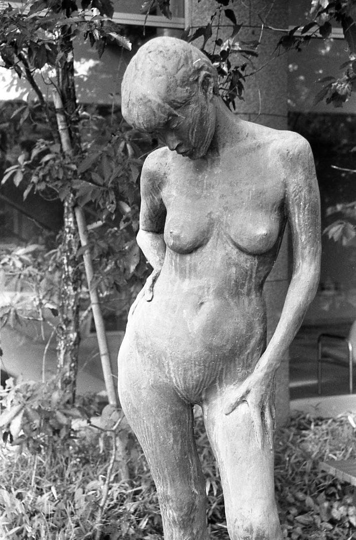 【整備済完動品】CANON AE-1 PROGRAM ズームレンズ35-70mm