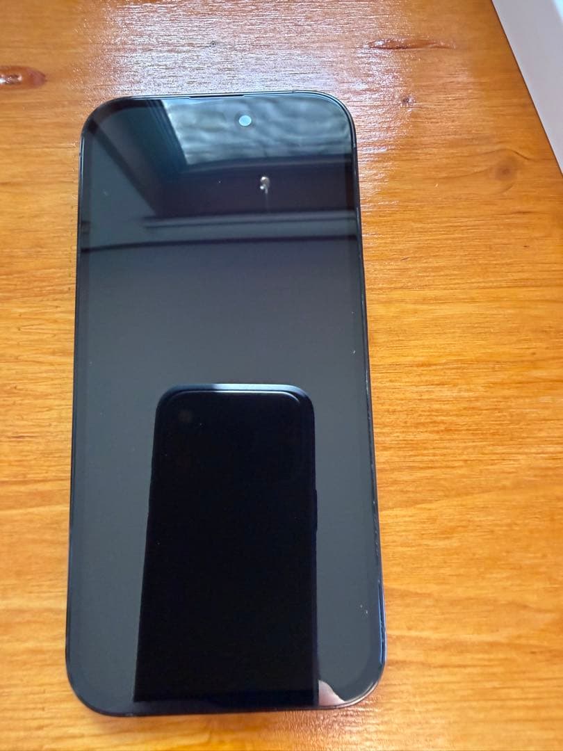 Apple iPhone 14 Pro ジャンク品