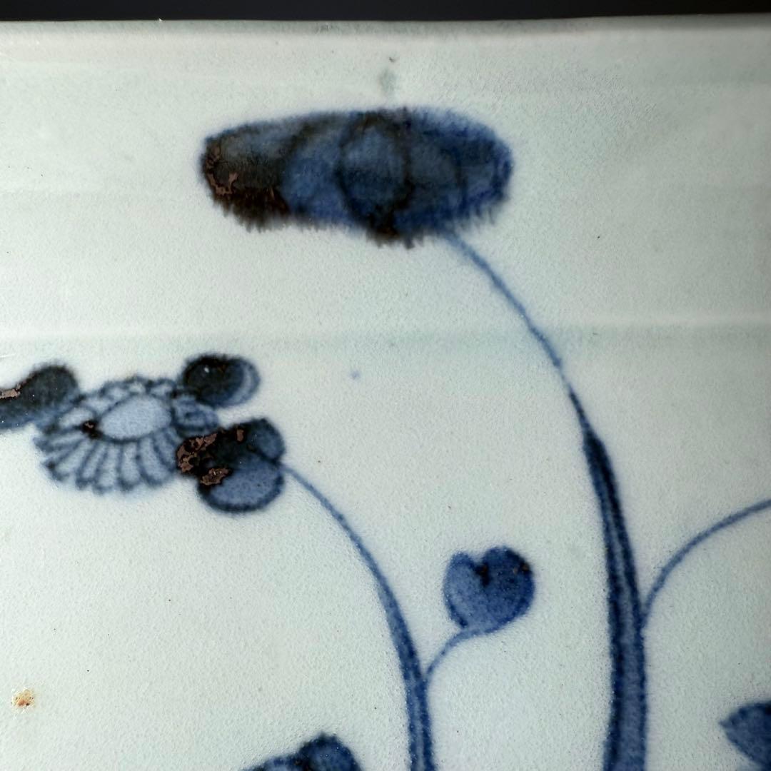 古伊万里　染付芙蓉文様長皿　五客　成化年製　江戸後期　料理屋　花草文様　裏文様有