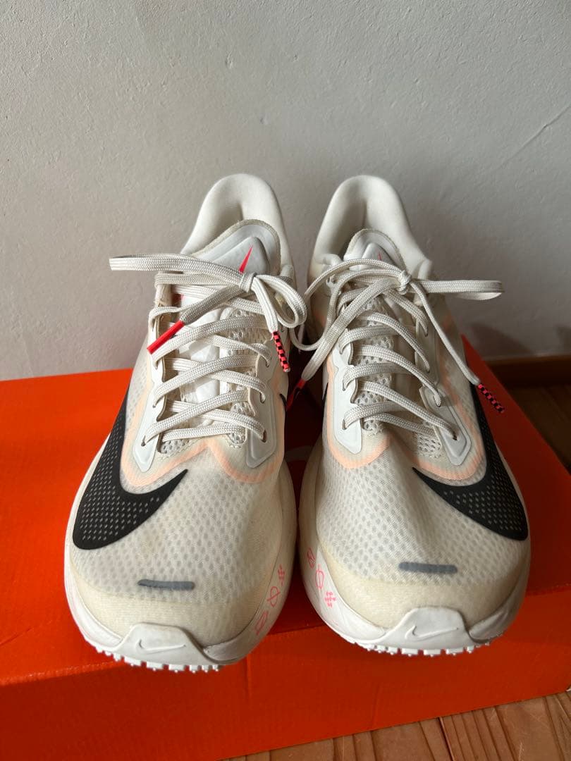 Nike ズーム フライ 6 25cm レディース