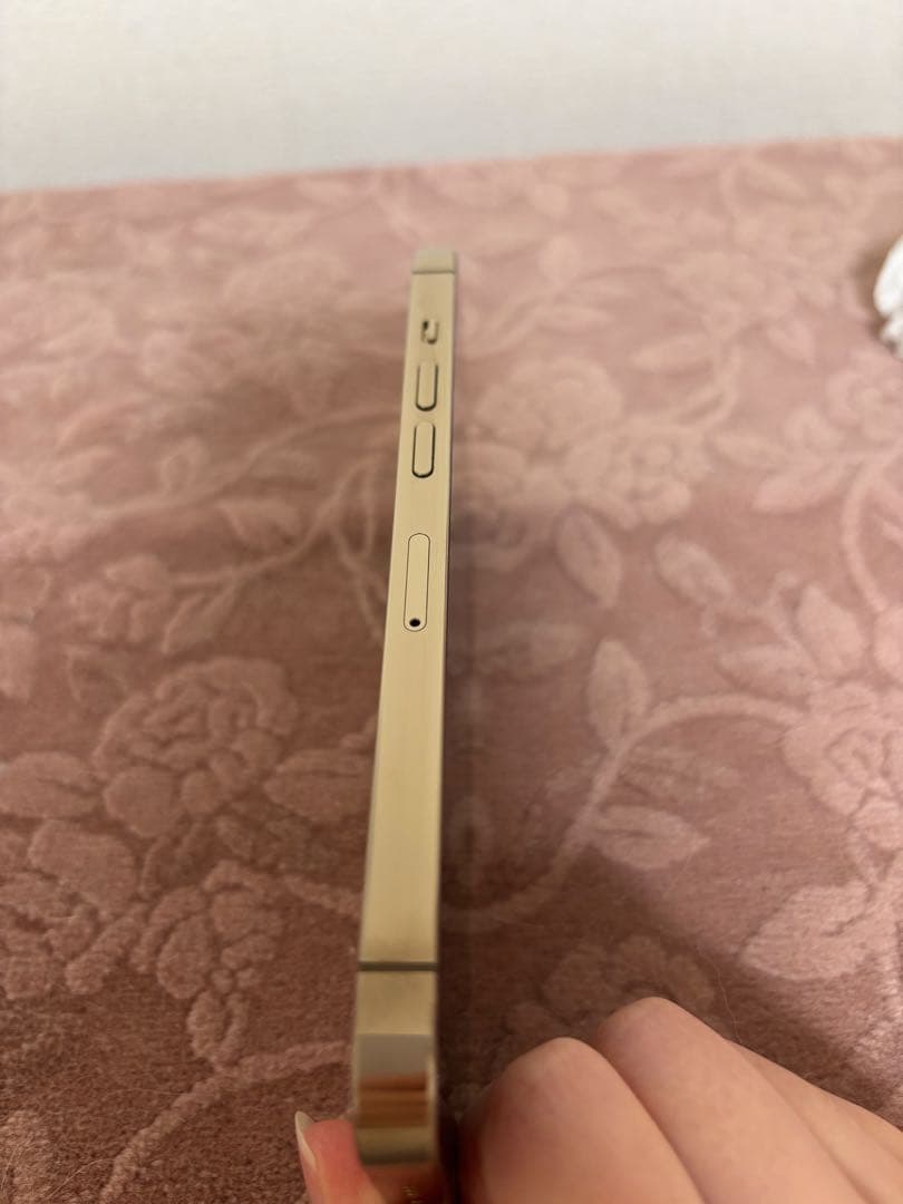 Bray　Apple iPhone 13 Pro 256GB ゴールド