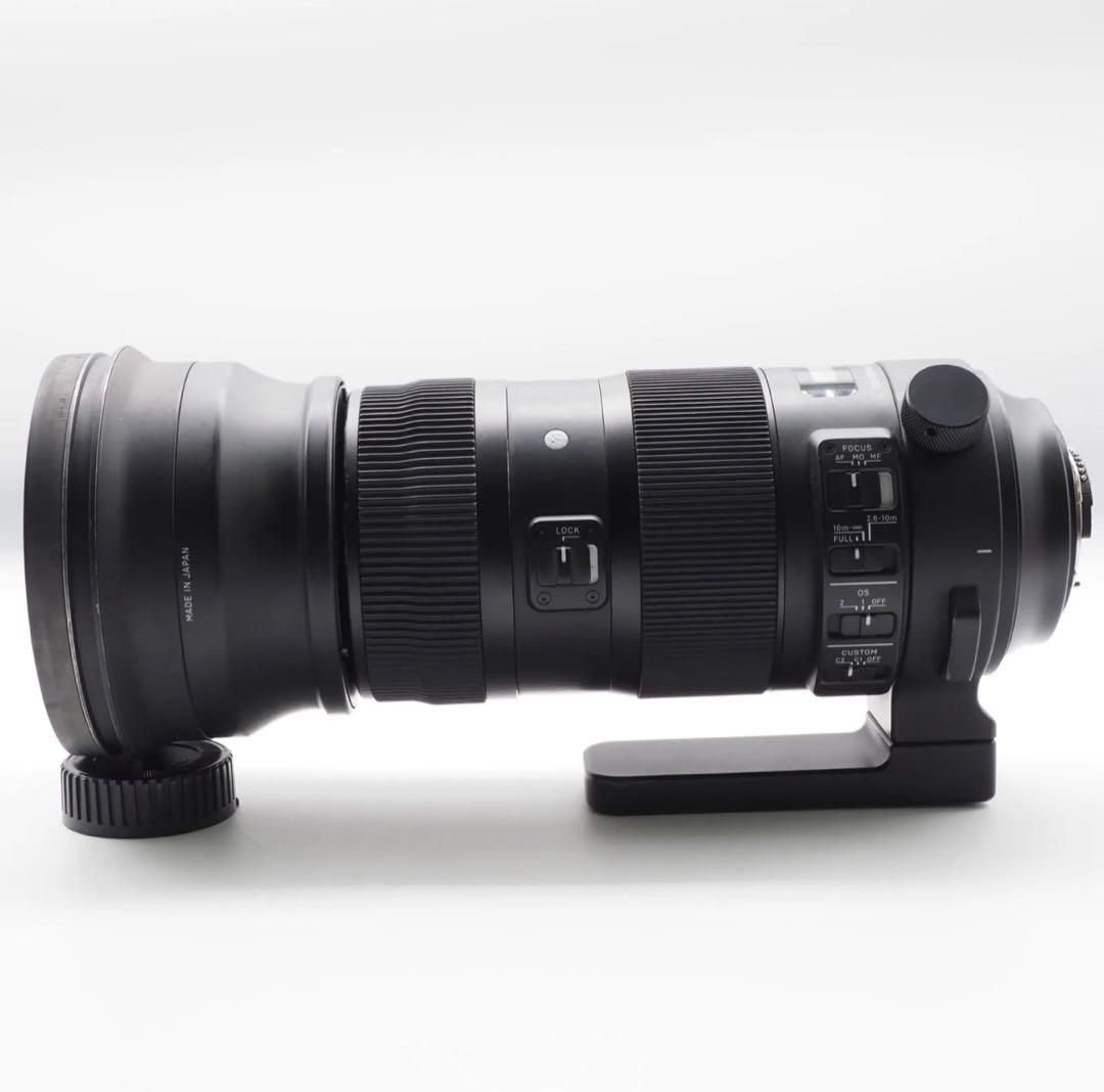 SIGMA 150-600mm Sports 大セール‼️