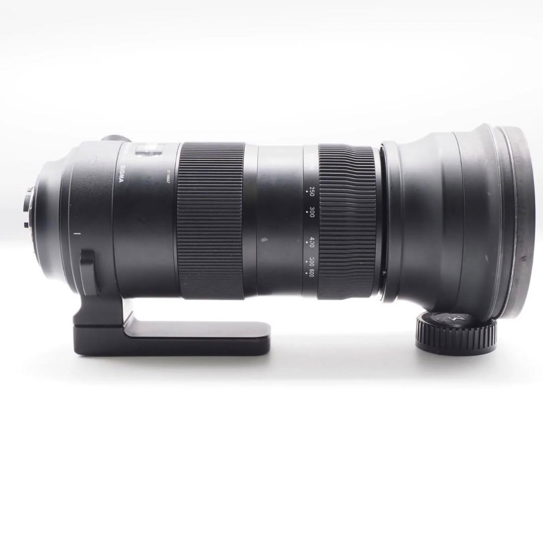 SIGMA 150-600mm Sports 大セール‼️