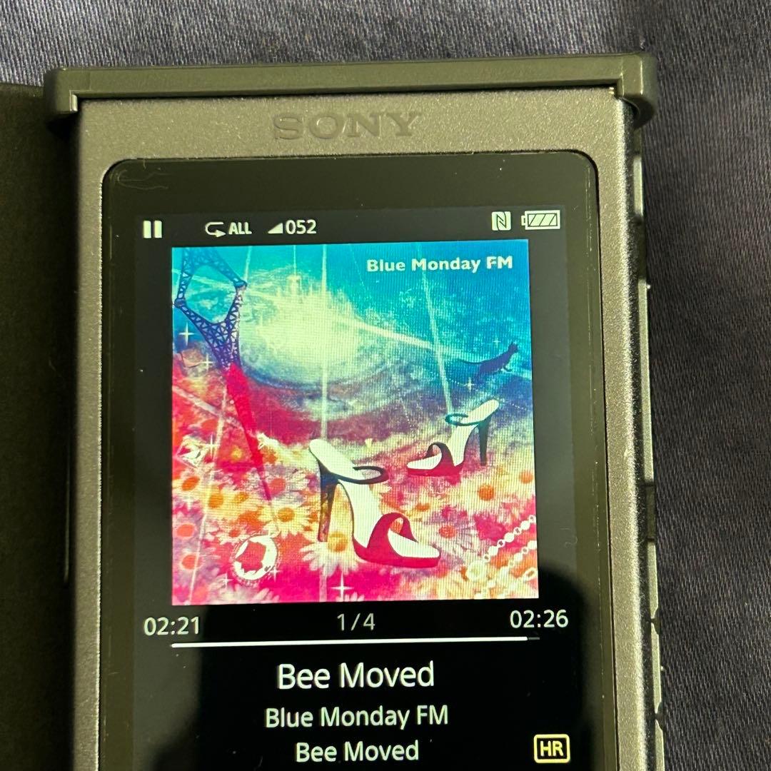 SONY ウォークマンNW-A35 デジタルオーディオプレーヤー（１６GB）