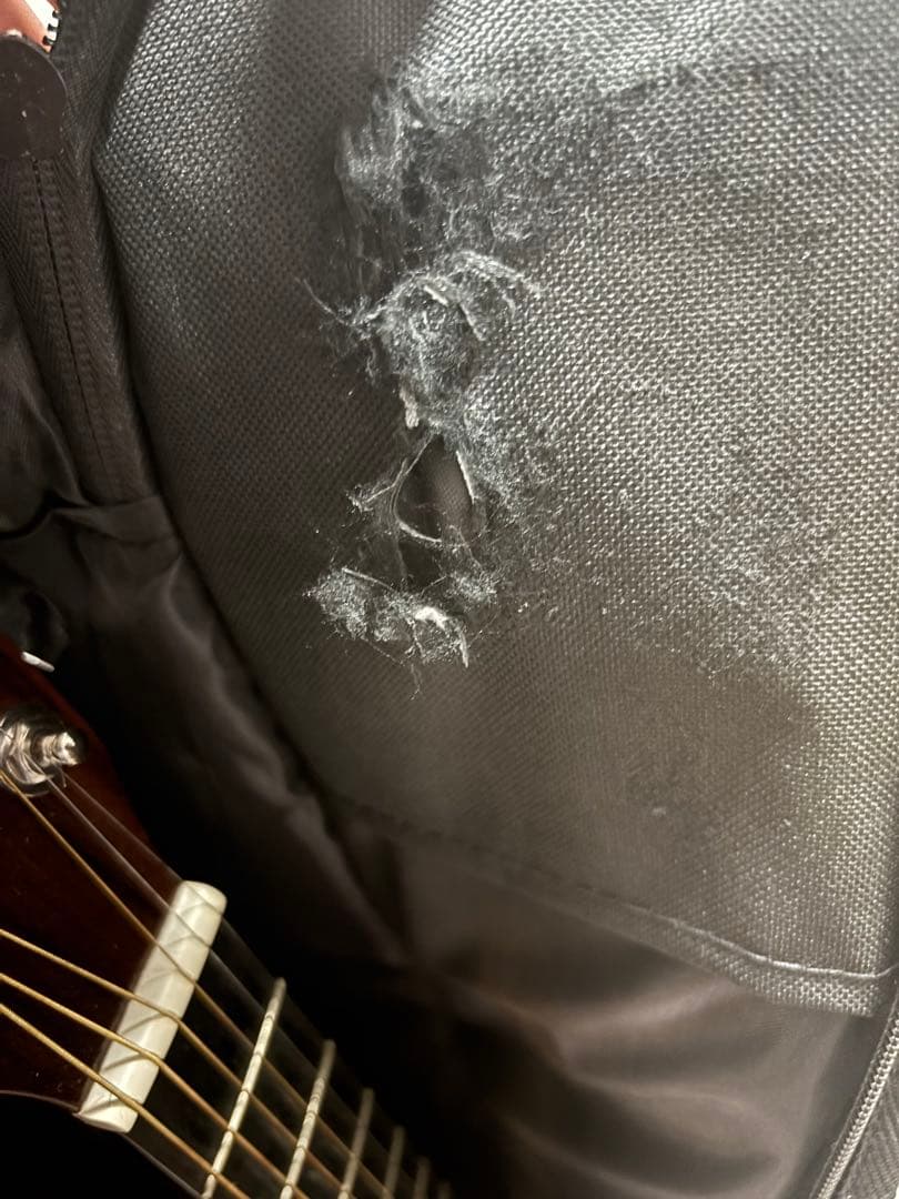 Morris モーリス アコギ M-351 TS ギターケース付 サンバースト