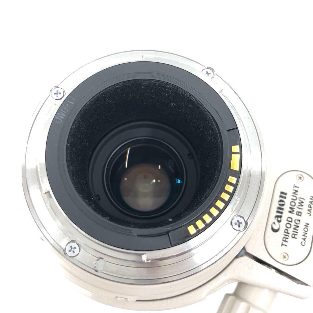 Canon キャノン レンズ 100-400mm 1:4.5-5.6