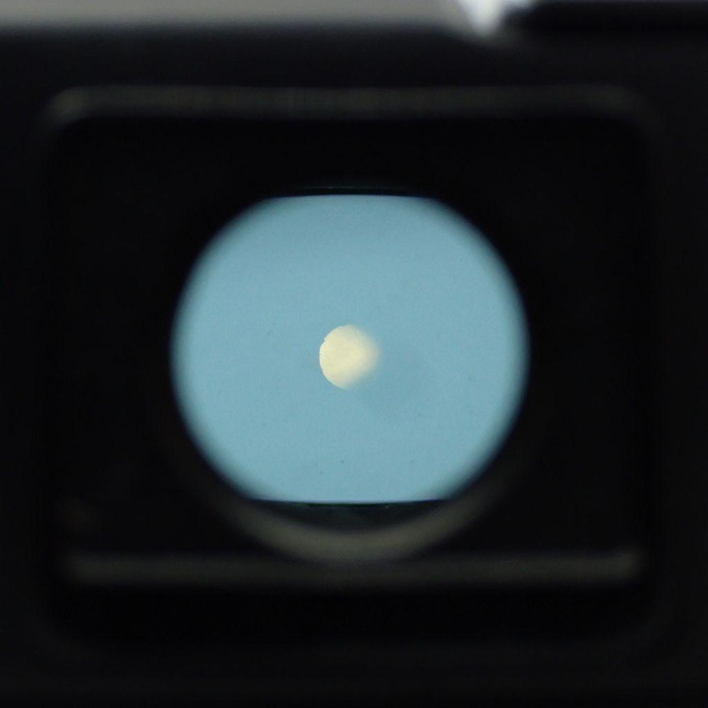 【動作確認済】YASHICA ELECTRO 35 GTN 初期保証付き