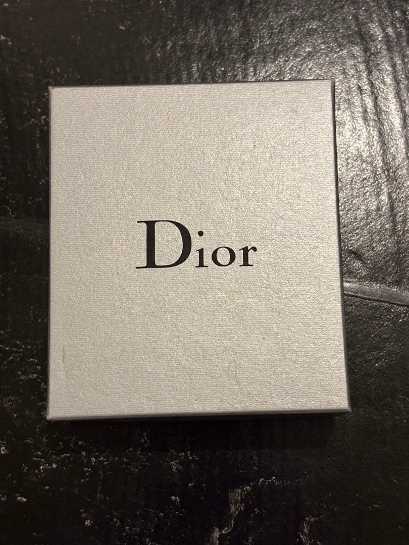 ディオールオム エディスリマン 2006AW シューティングスターピンブローチ