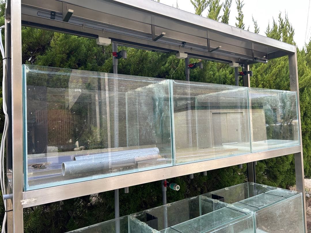 オーバーフロー水槽 多段 ガラス製 ポンプ付き