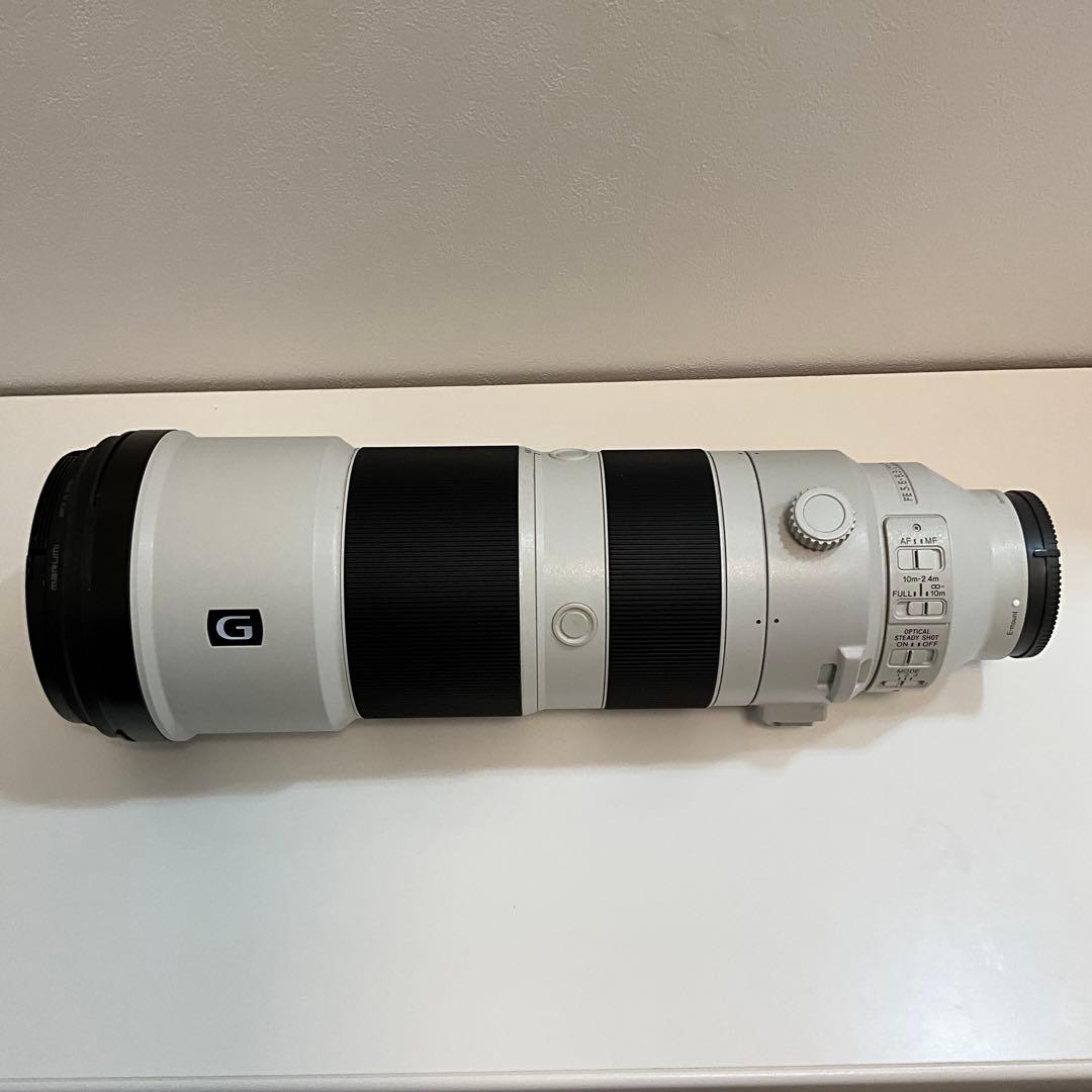 レンズ(ズーム) SONY FE 200-600mm F5.6-6.3 G OSS