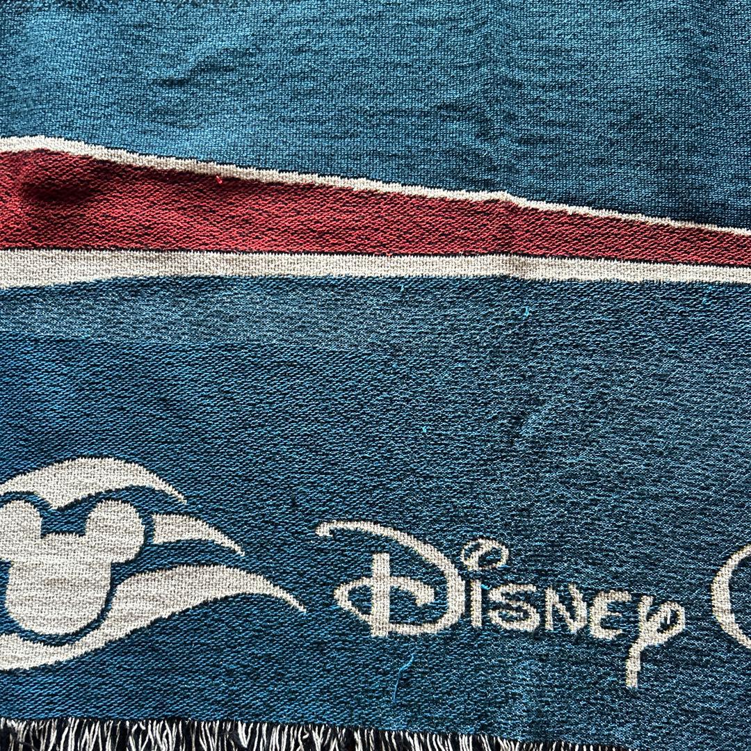 激レア　DISNEY　ヴィンテージ　ラグ　カーペット　壁掛け　アウトドア　珍品