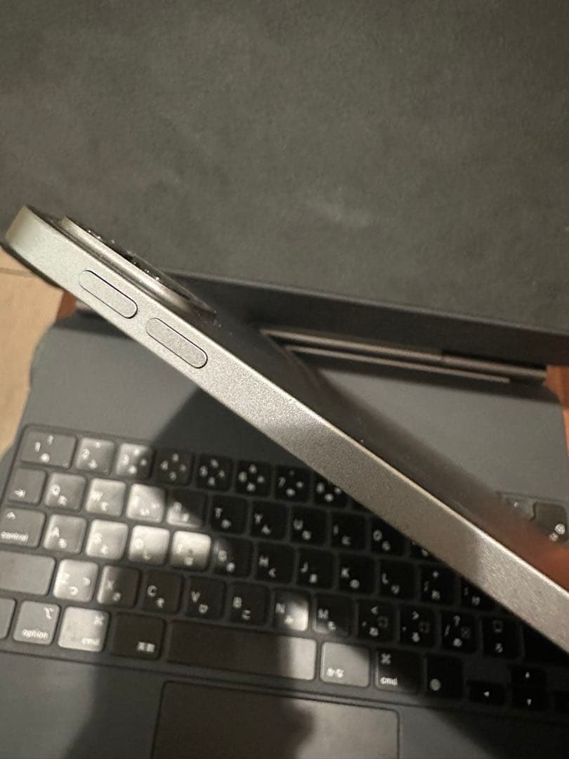 iPad Pro 12.9インチ　第五世代　256GB