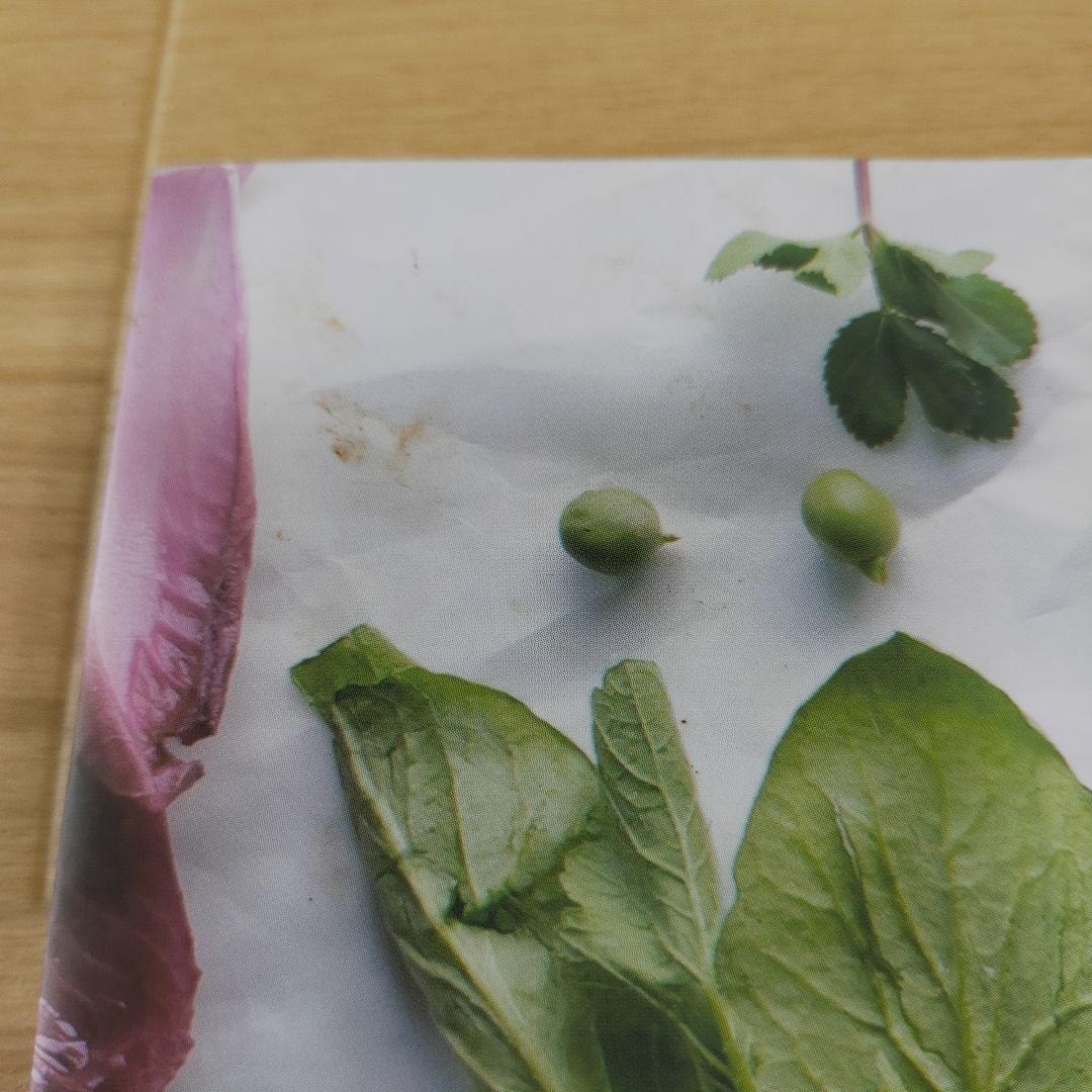 バーミキュラ　オープンポット　ラウンド18cm　パールホワイト　レシピ本付き