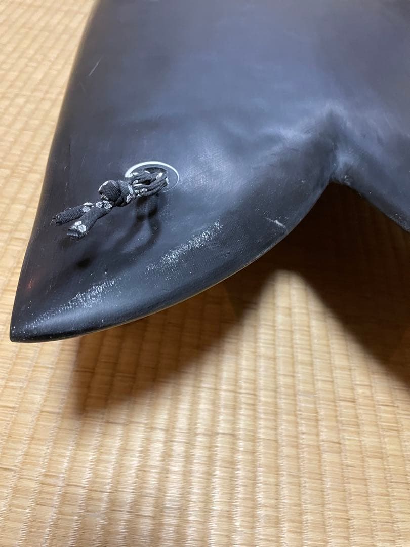 クリステンソン　フィッシュ5.2 オンフィン