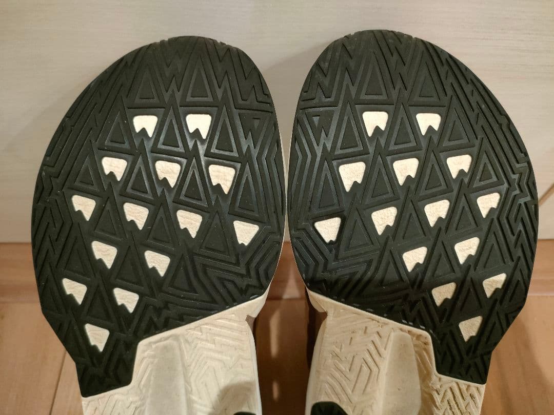 【値下げ中】フューエルセル レベル v5