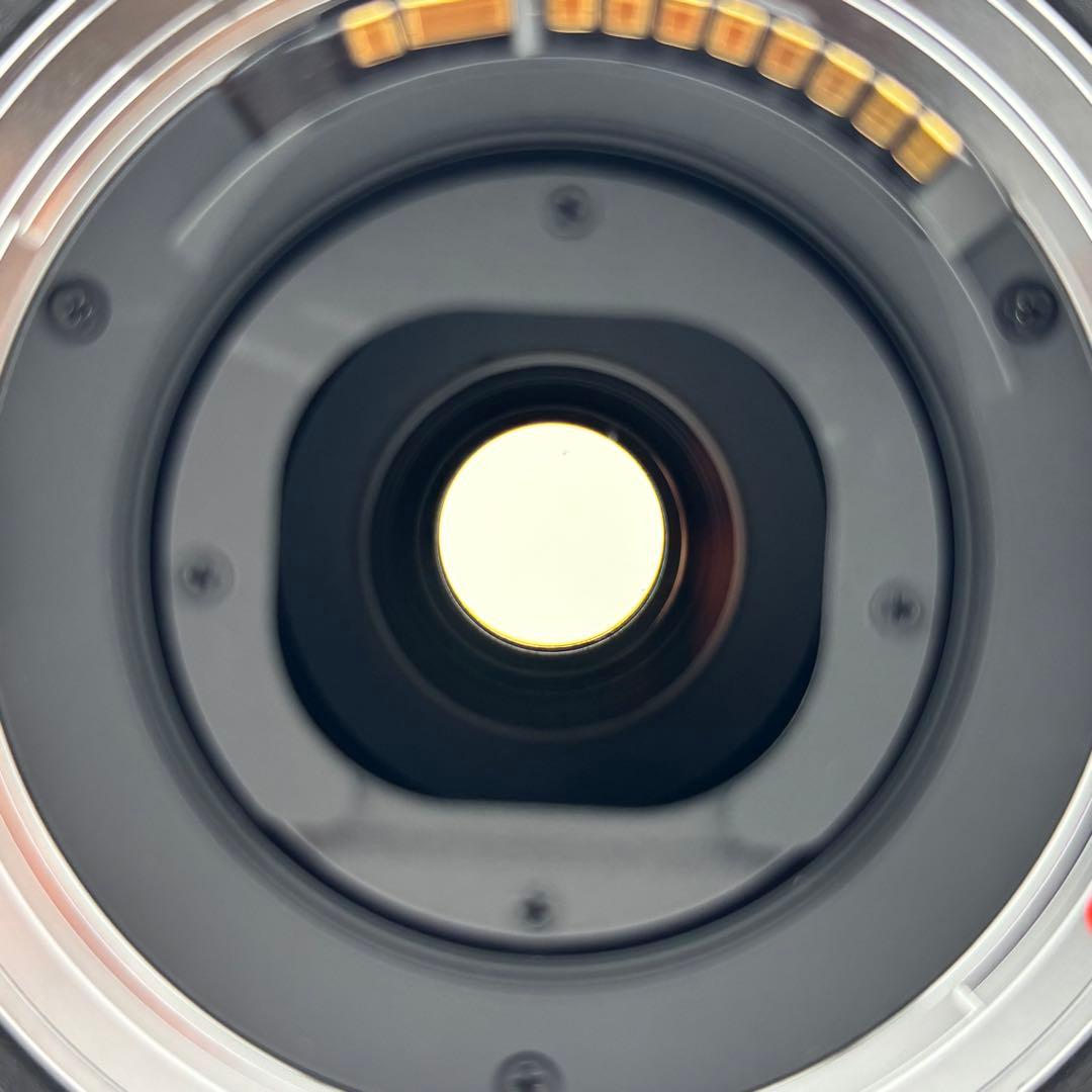 【完動品】美品　SIGMA 12-24mm DG HSM Canon用　 シグマ