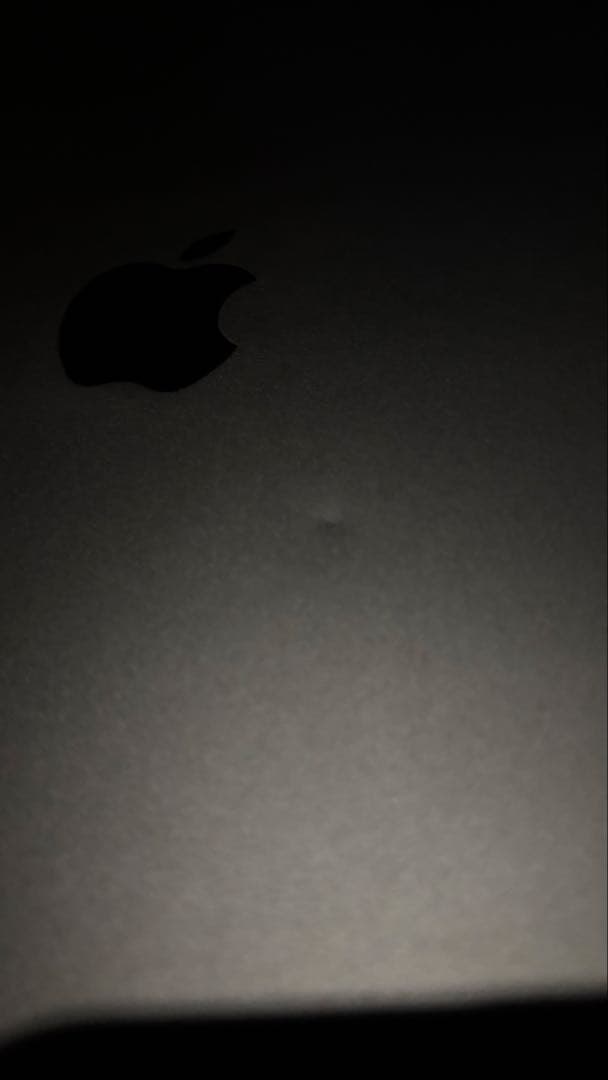 （ぶーしー)Apple iPad Air 64GB