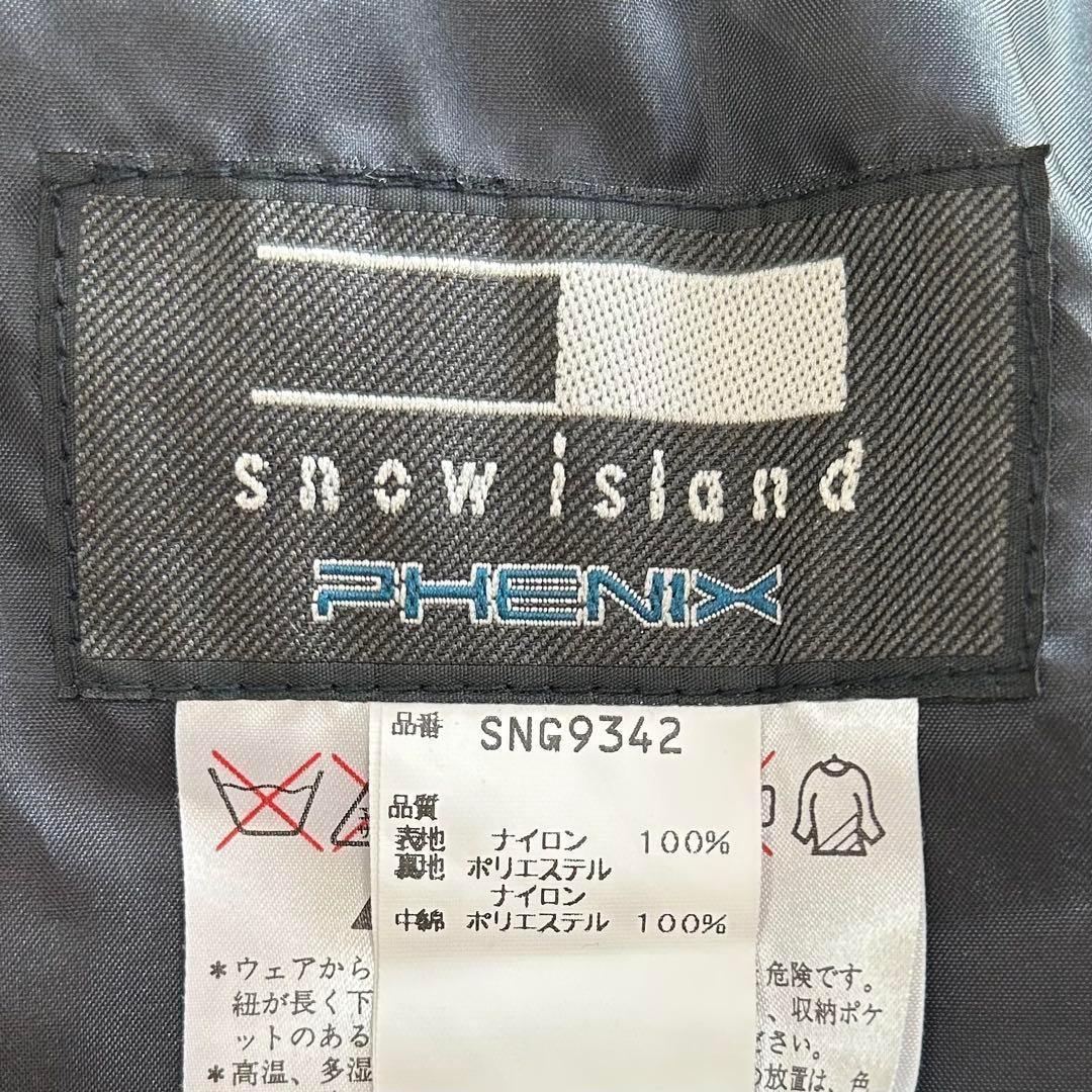 PHENIX フェニックス　スキーウェア　M　スキーパンツ　グリーン系　スノボ