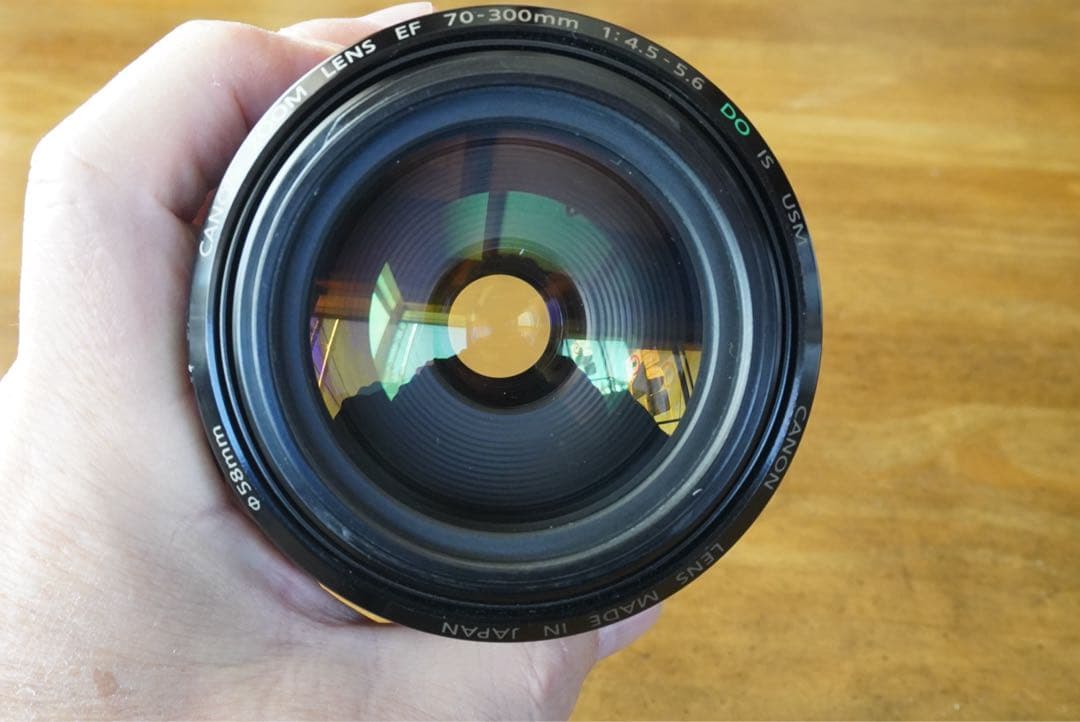 レンズ(単焦点) EF70-300mm F4.5-5.6 DO IS USM