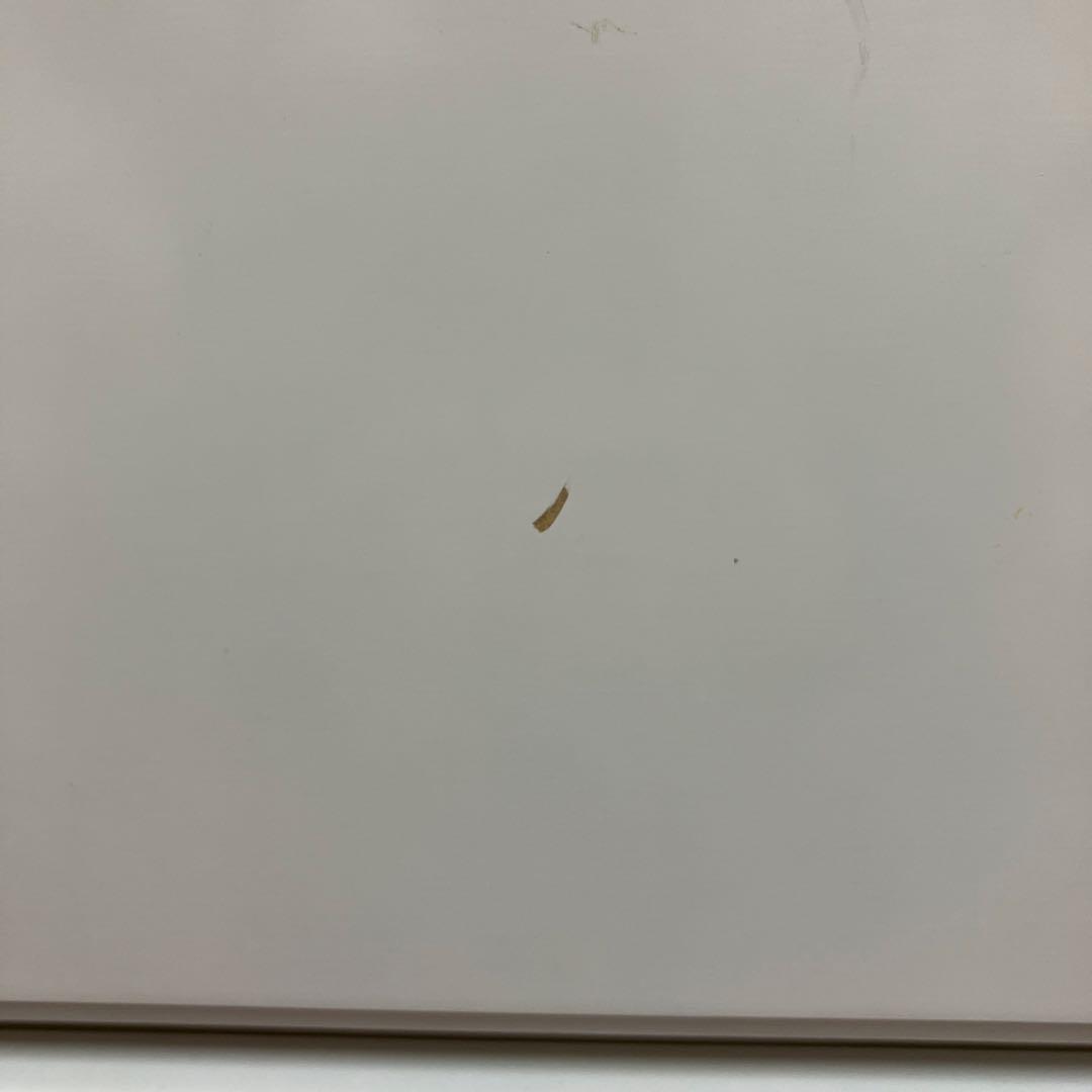 洋服タンス　真っ白　大きめ