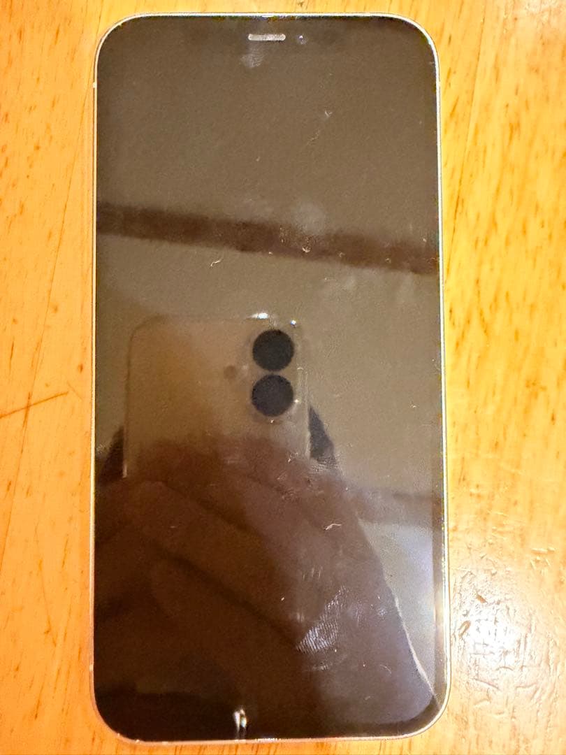 iPhone 12 Pro 256GB ジャンク