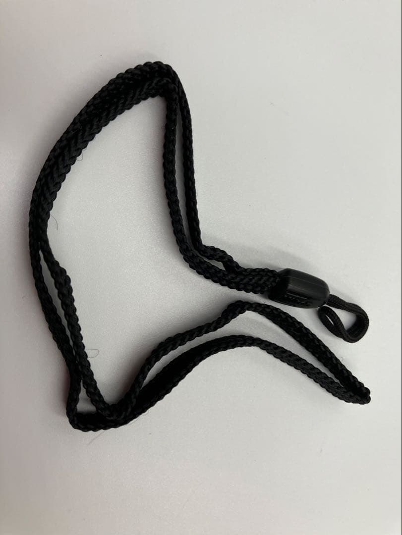 Nikon ミニ AF600 クォーツデート フィルムカメラ