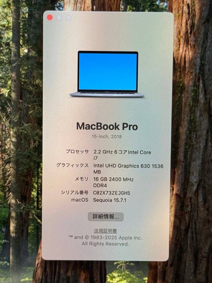 MacBook Pro15 2018 i7 16GB 512GB 動作確認済