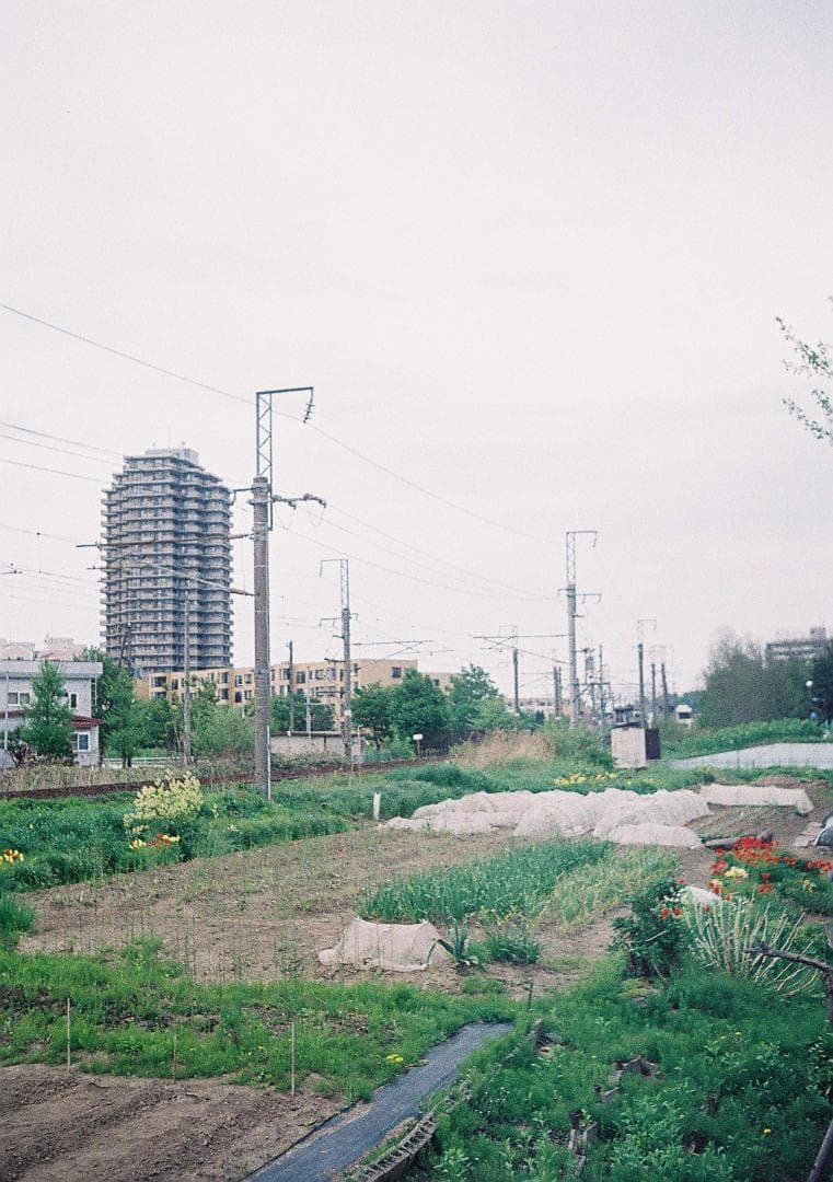 ラグランスリーブ【整備品】オリンパス　ペンEE-2　フィルム試写あり