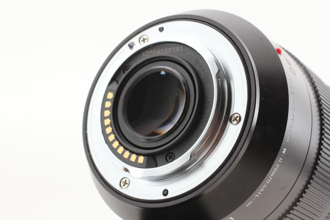 Panasonic LUMIX 1:2.8-4 12-60mm ズームレンズ