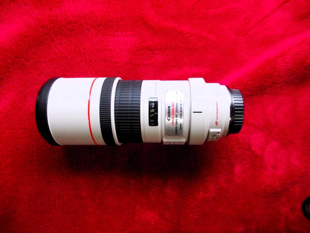 キャノン EF300mm F/4L IS USM (EFレンズ単焦点）