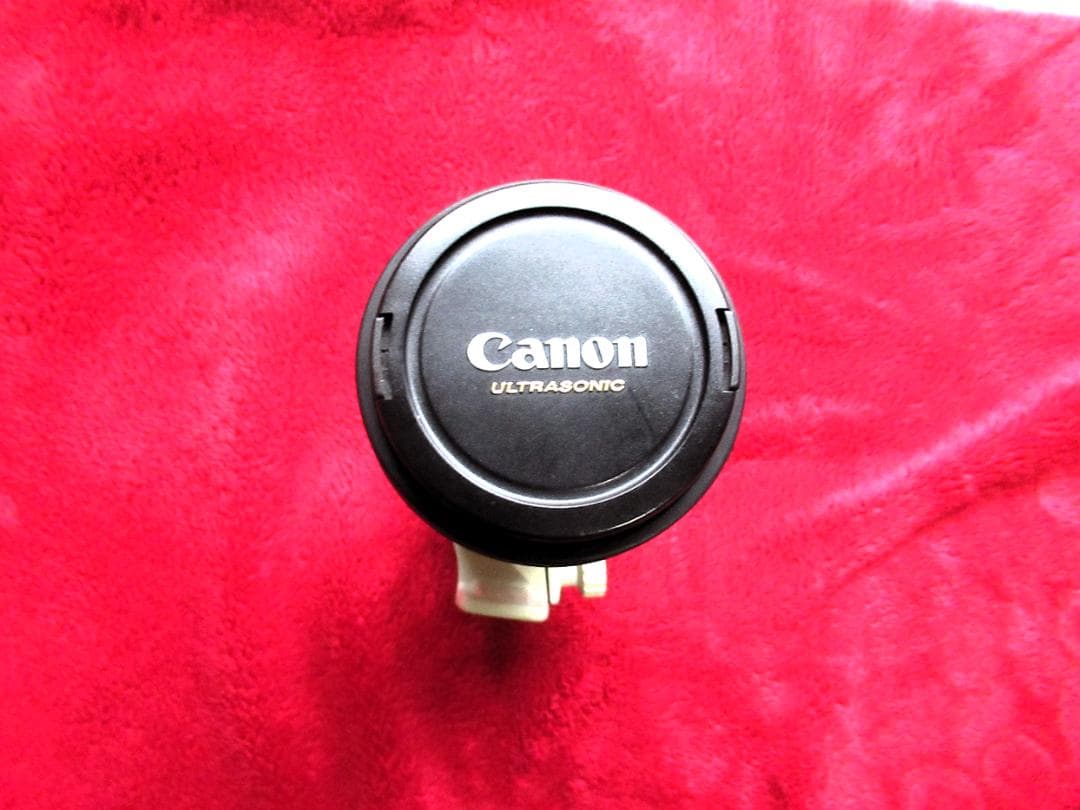 キャノン EF300mm F/4L IS USM (EFレンズ単焦点）