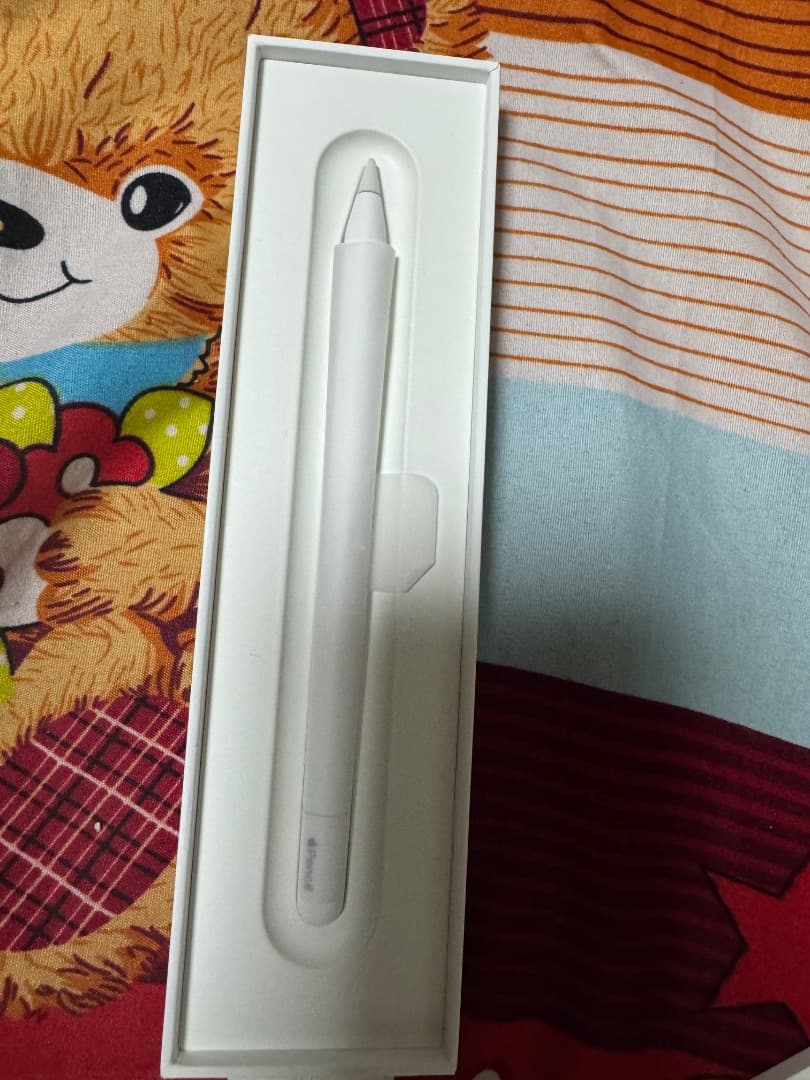 iPadアクセサリー Apple pencil usb c
