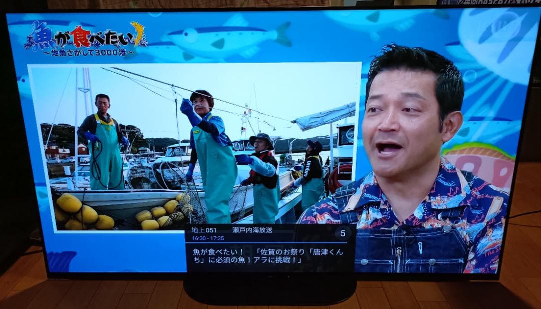 スナフキン　美品19年製55V型SONY BRAVIA KJ-55A9G