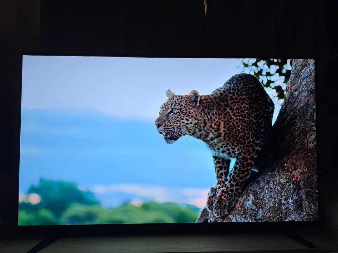 SONY KJ-55A8H 4K有機ELテレビ 55インチ