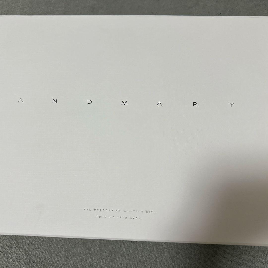 バッグ andmary Valentine ribbon leather bag