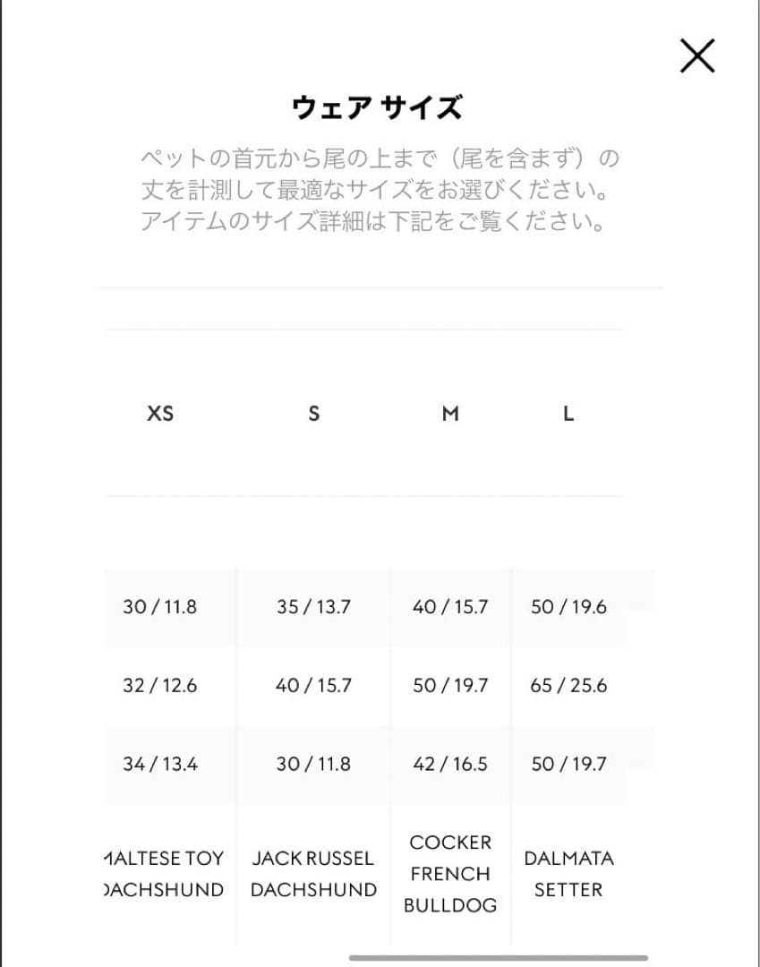 GUCCI ストライプ コットン ペット Tシャツ Mサイズ