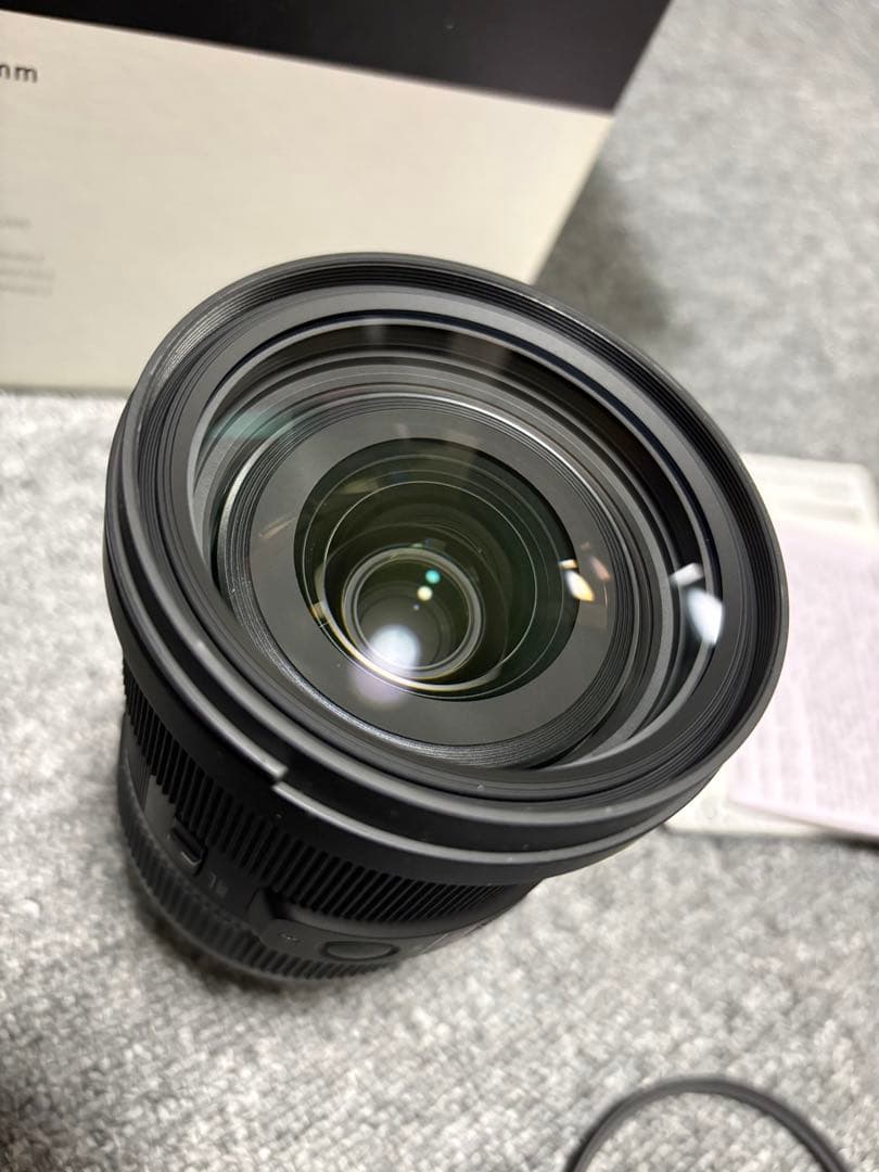 SIGMA (シグマ) 24-70mm F2.8 DG DN ART ソニーE