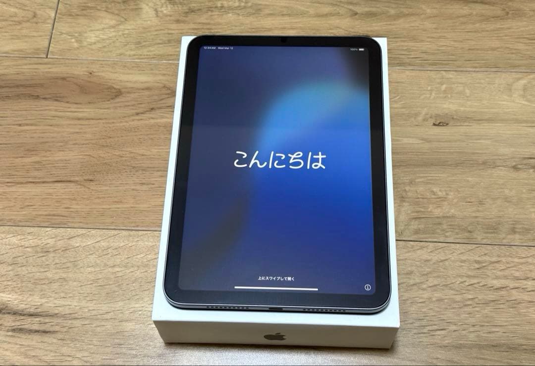 【美品】iPadmini本体 第6世代 64GB wifiモデル スペースグレー