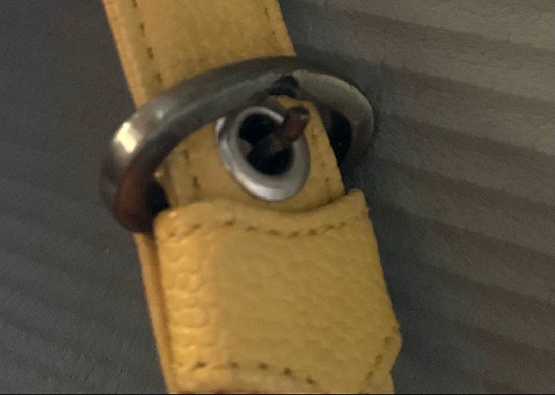 vivienne westwood ショルダーバッグ　丸型　ヴィンテージ