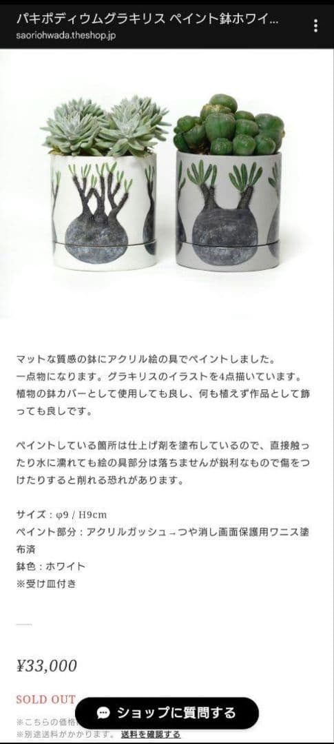 【一点物】 saori_ohwada パキポディウム グラキリス ペイント鉢