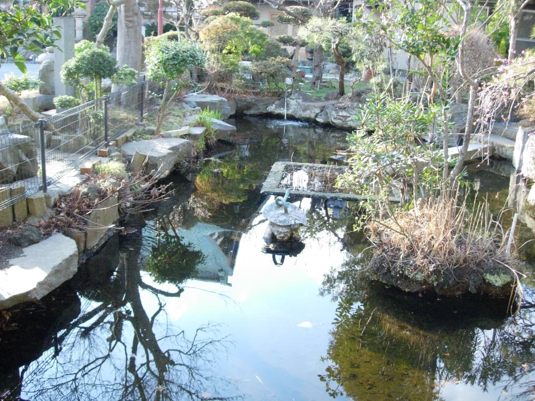 実写美⭕️美品【動作確認済】Nikon COOLPIX 5200 ブルー