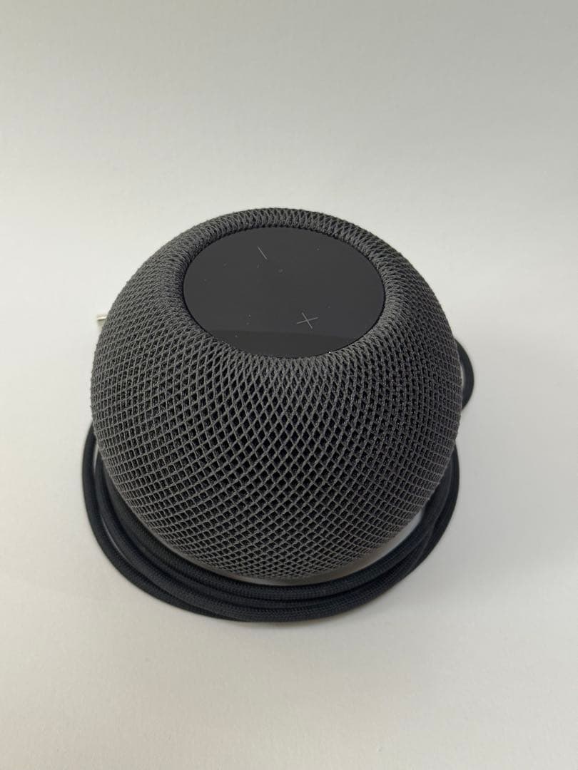 Apple  pod mini ブラック 2個 純正アダプタ付