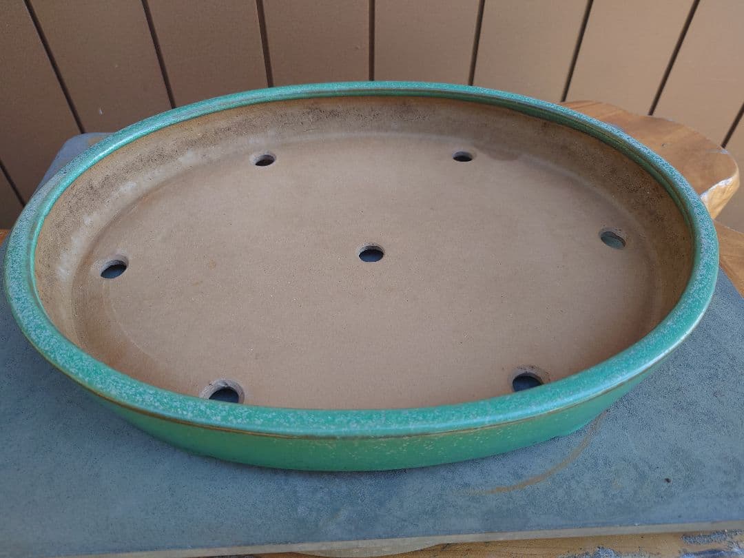 盆栽　鉢　山房　幅40.8cm